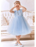 Feifei Sleeves Sky Blue Tulle Floral Flower Girl Dress